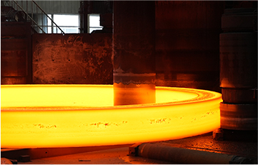 Bearing Ring
