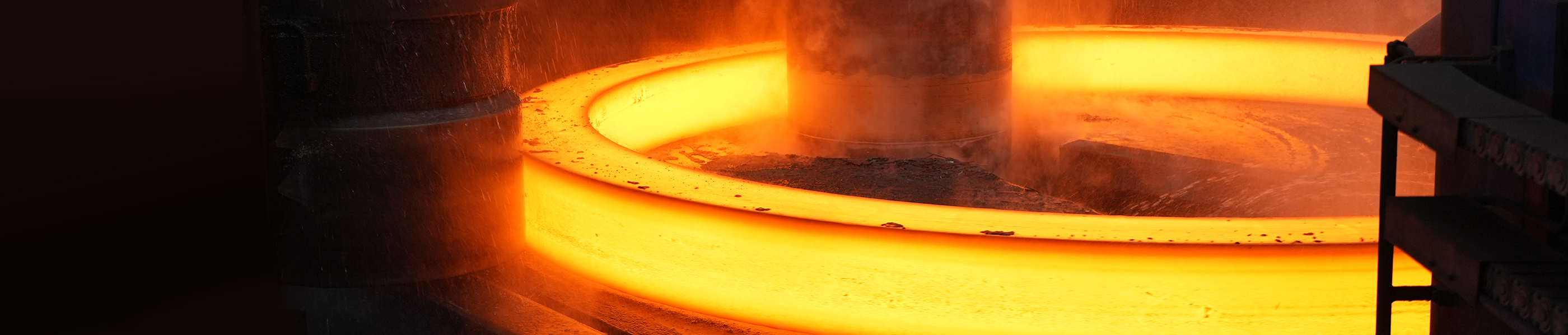 Bearing Ring